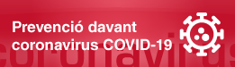 Mesures de prevenció en l'àmbit laboral de la GVa davant el nou coronavirus, COVID-19